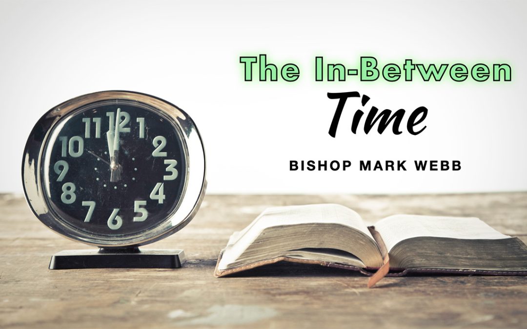 The “In-Between”: A Letter from Bishop Mark Webb